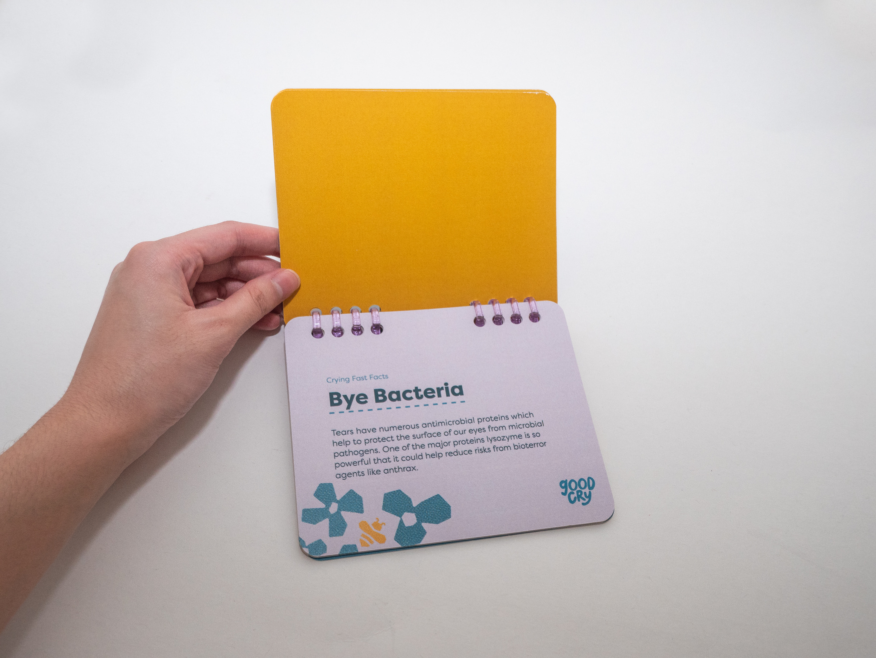 Open booklet: Fast facts